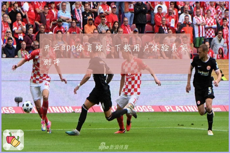 开云app体育综合下载用户体验真实测评