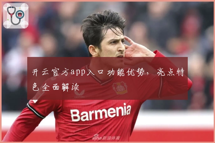 开云官方app入口功能优势，亮点特色全面解读